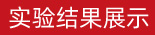 實(shí)驗(yàn)結(jié)果展示
