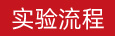 實(shí)驗(yàn)流程